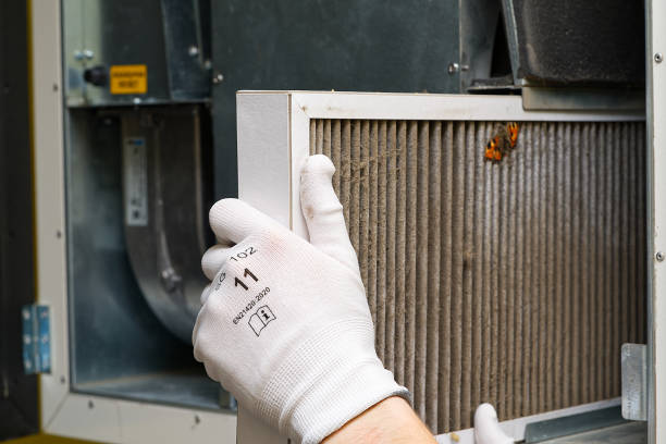 Air Duct Mold Removal in Bangor, PA