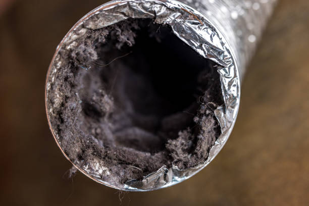 Best Ductwork Cleaning Services  in Bangor, PA